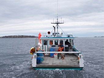 Фото с сайта kinopoisk.ru.